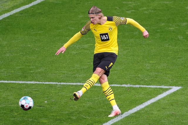 正是因为这 正是因为这