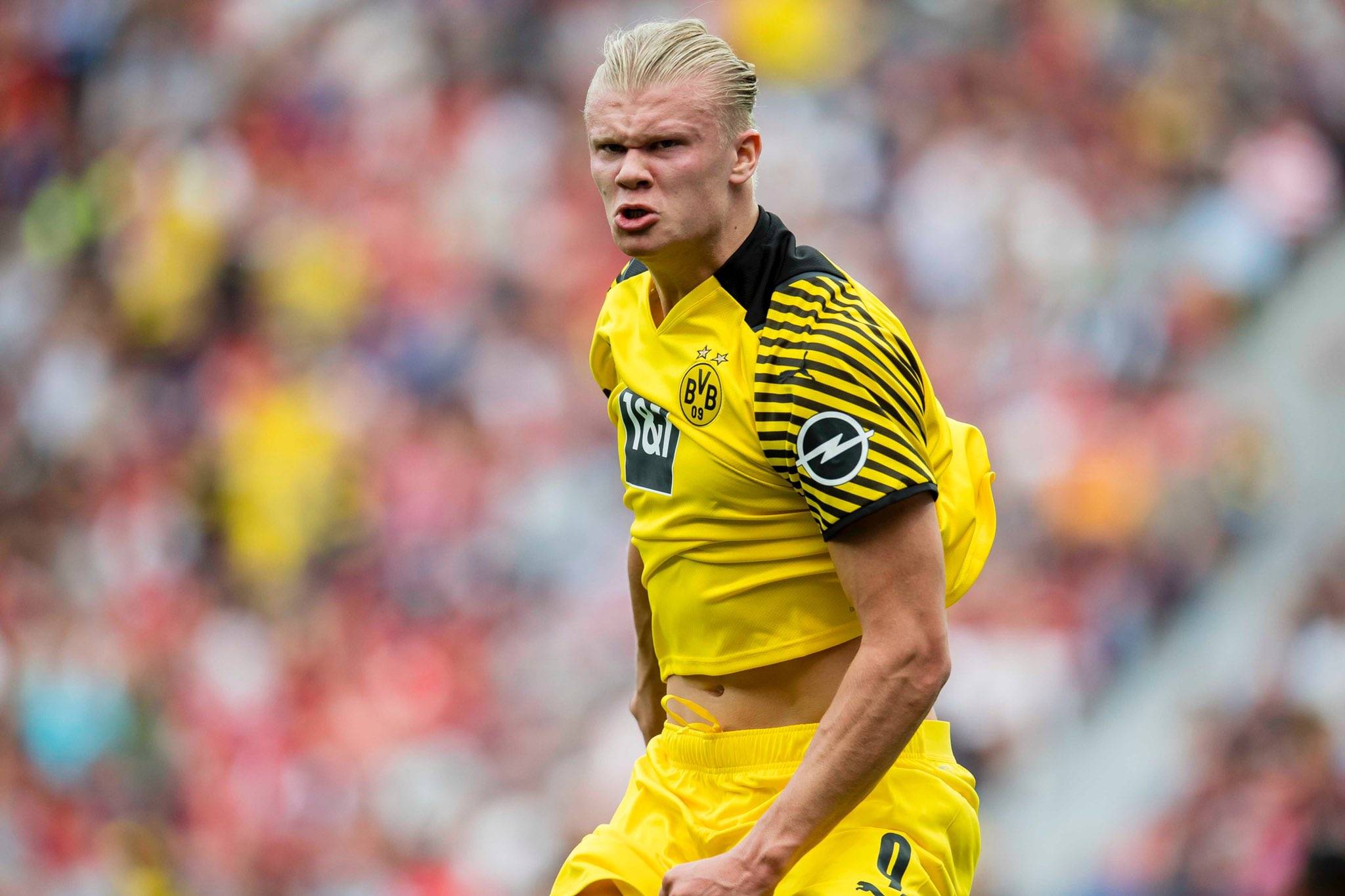 为稳定赢球 为稳定赢球