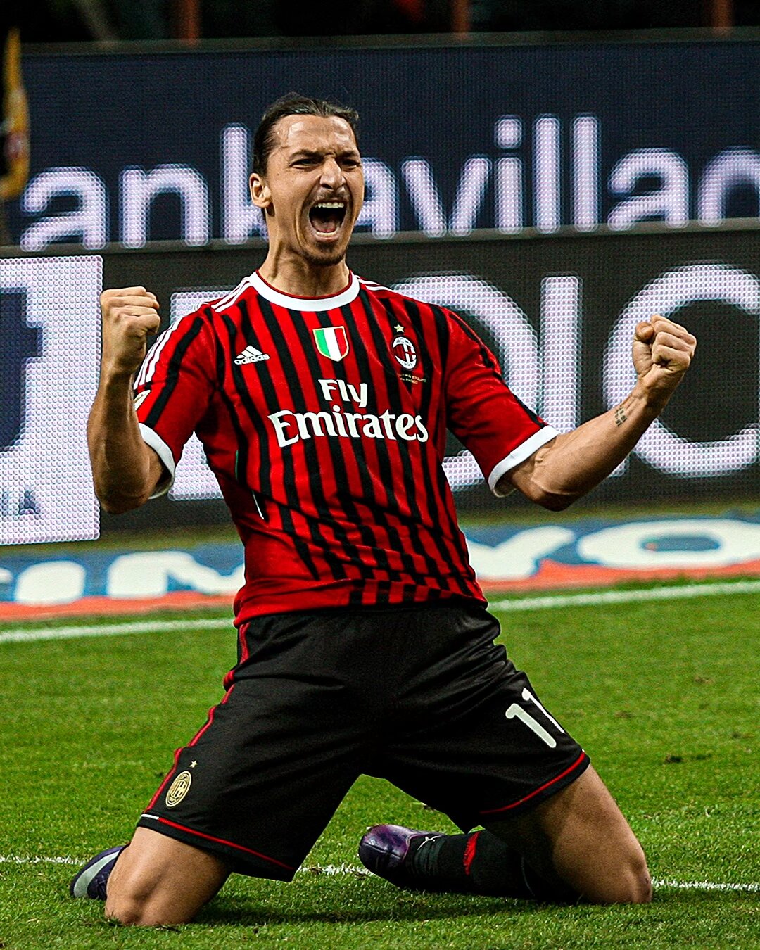 进与保护略 进与保护略